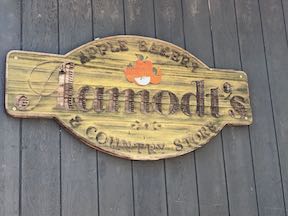 Aamodts