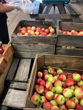 Apple Crates