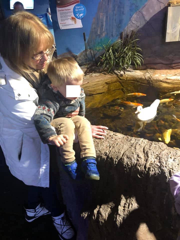 ducks
