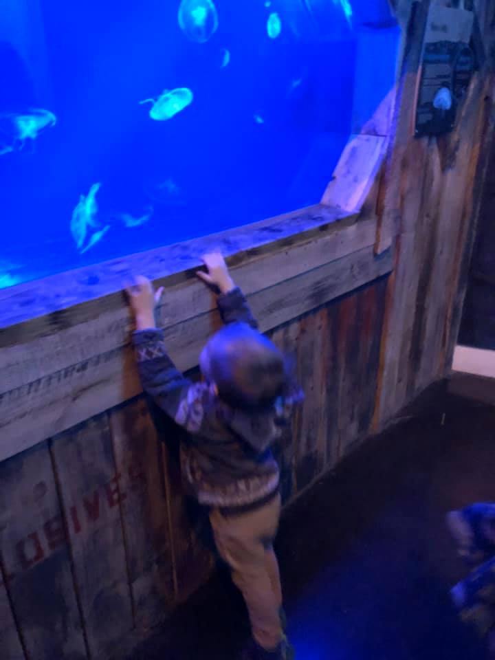 Jellyfish Seaquest