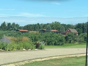 St Croix Vineyards Road View